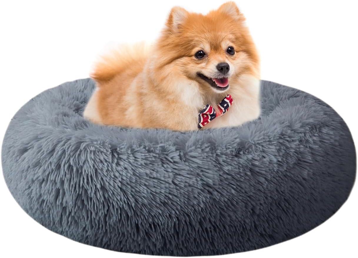 61PxpDfJMrL._AC_SL1500_.jpg