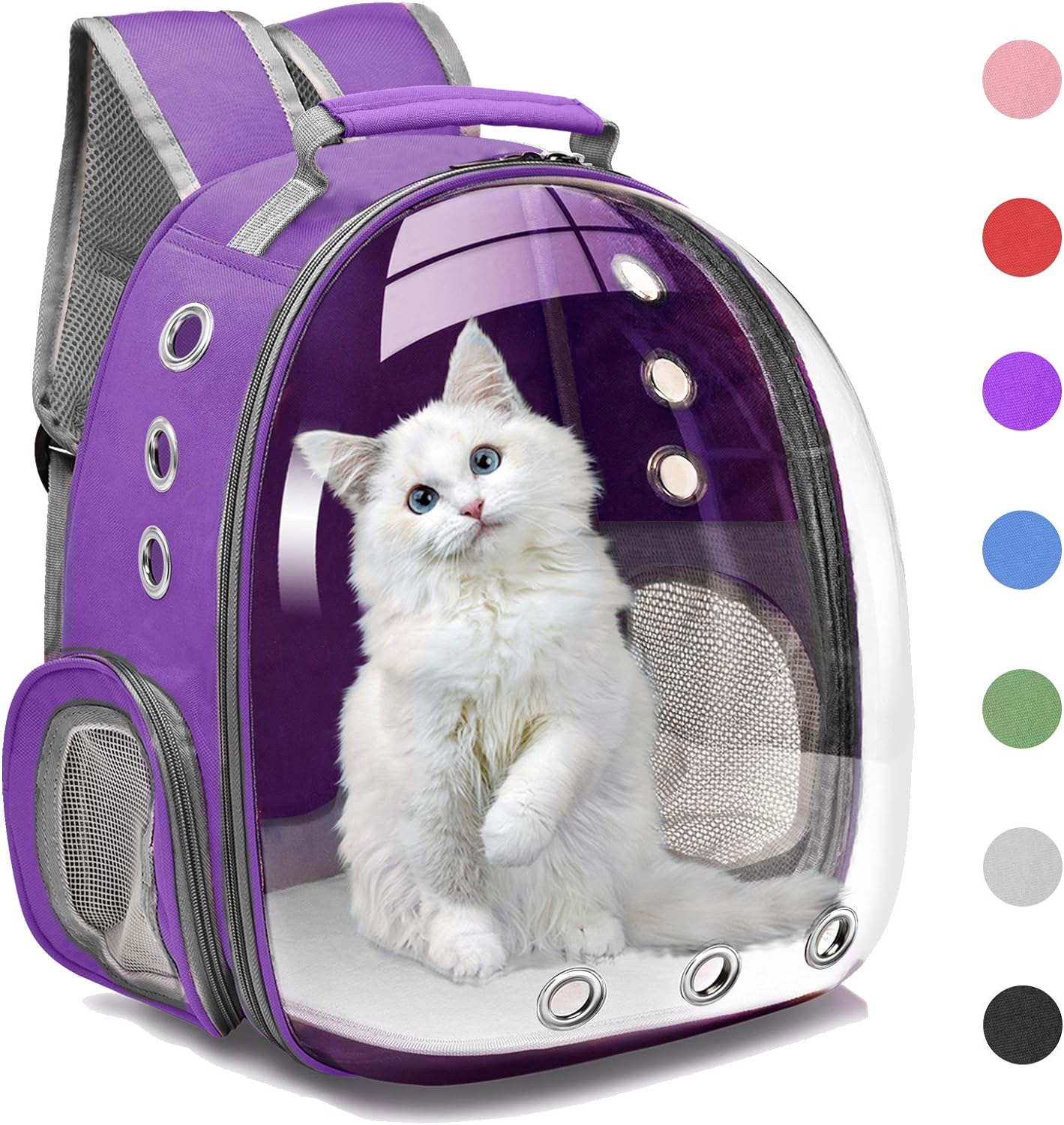 811Nk8N0eL._AC_SL1500_.jpg