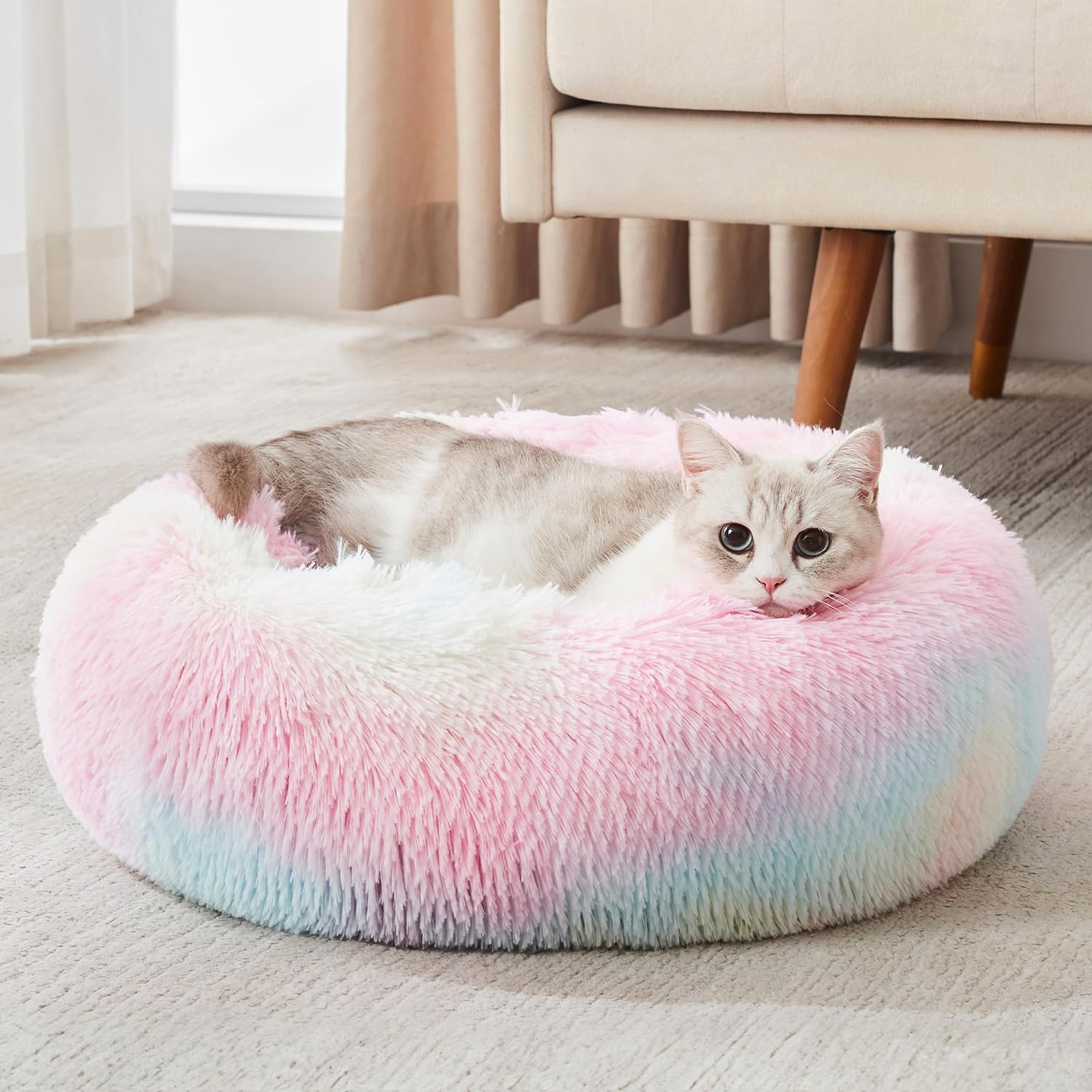 81EWJizByaL._AC_SL1500_.jpg