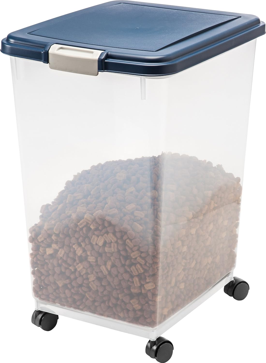 91ADLANUr8L._AC_SL1500_.jpg